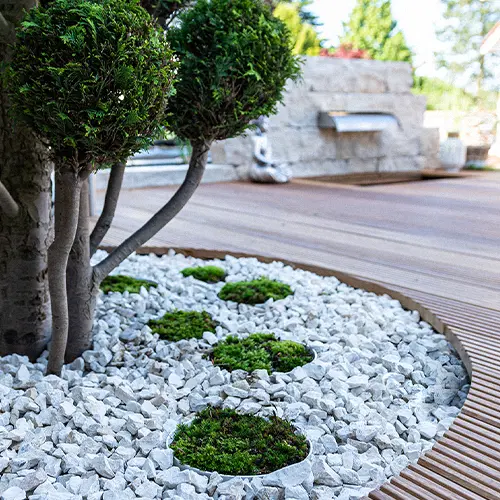 Jardin aménagé